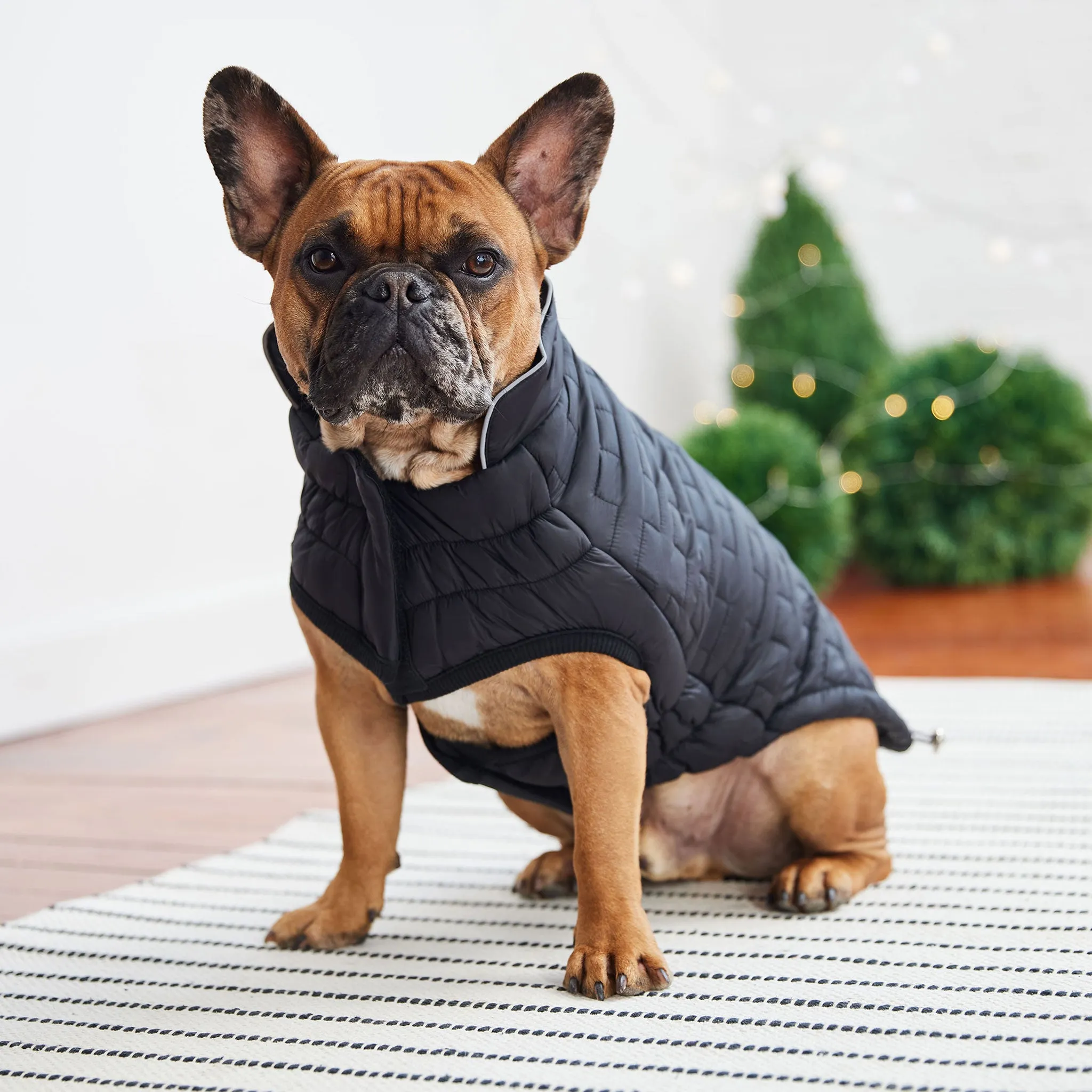 GF Pet Reversible Chalet Jacket - Black